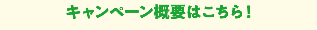 キャンペーン概要はこちら！