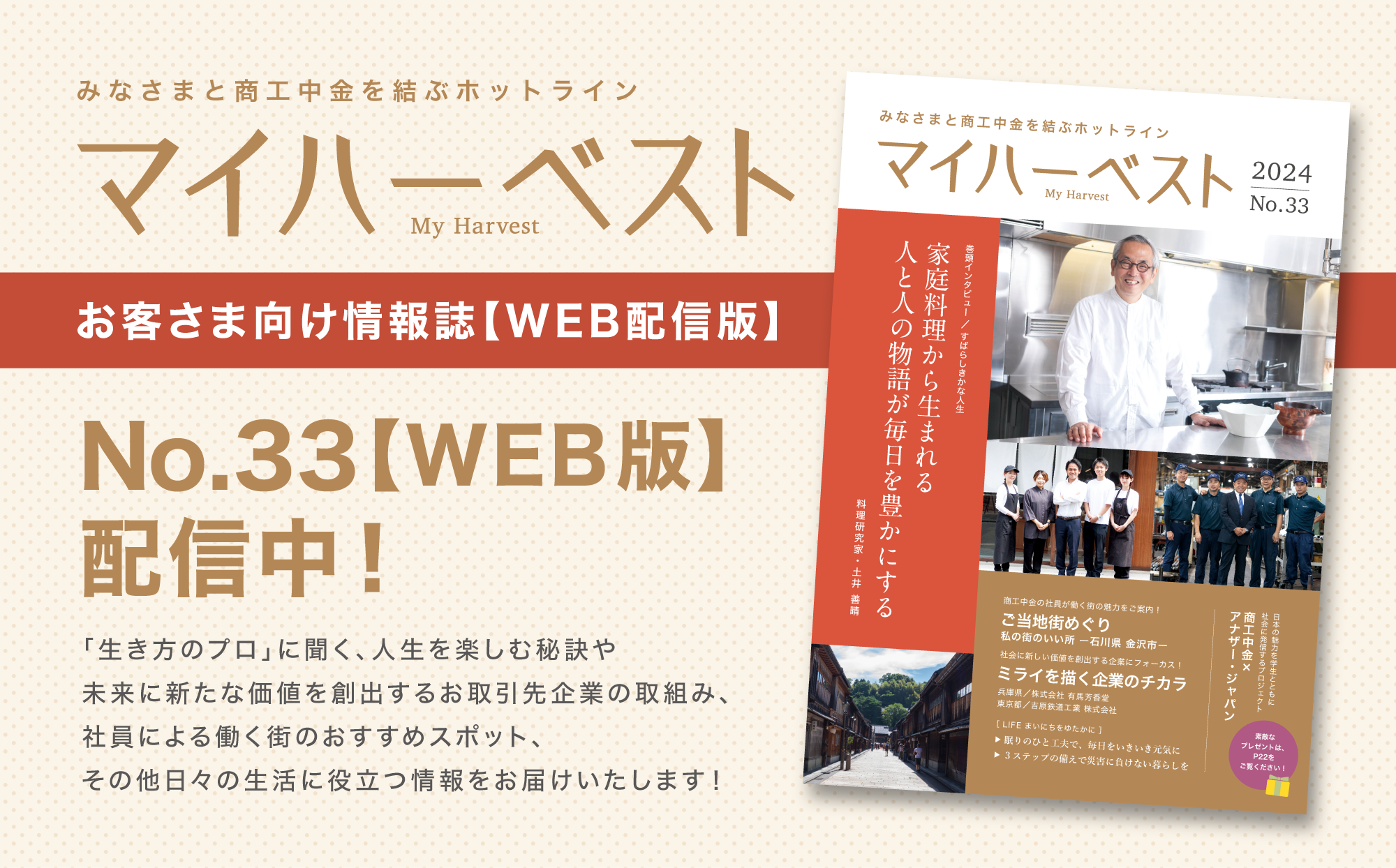 akikoshibadogページ メール便ケース ジッパー付 (A4 3cm対応) – Hacomarche