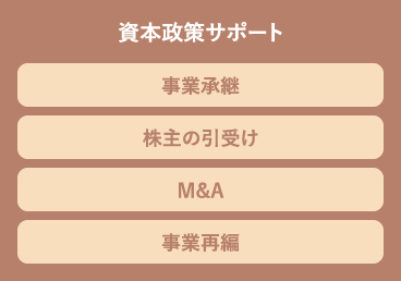 資本政策サポート 事業承継 株主の引受け M&A 事業再編